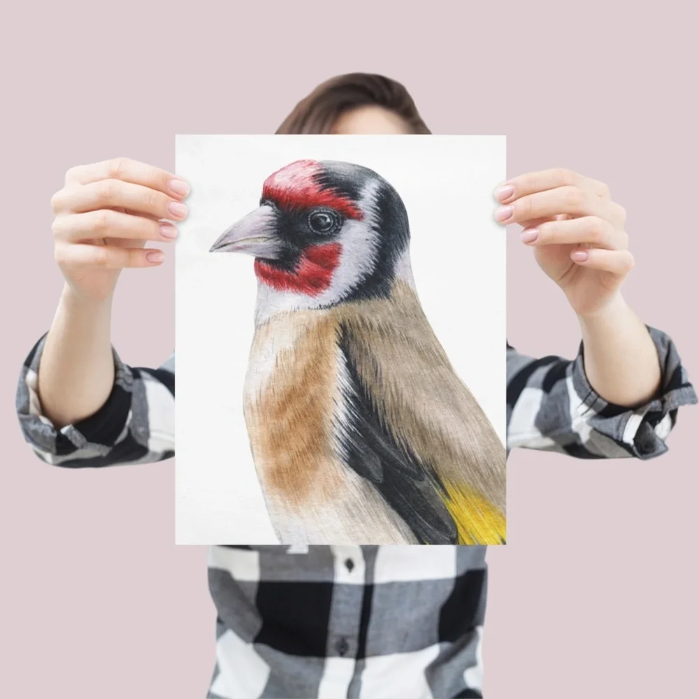 Watercolor Wall Art Goldfinch Bird Illustration Print Poster Unframed - Picture 6 of 9